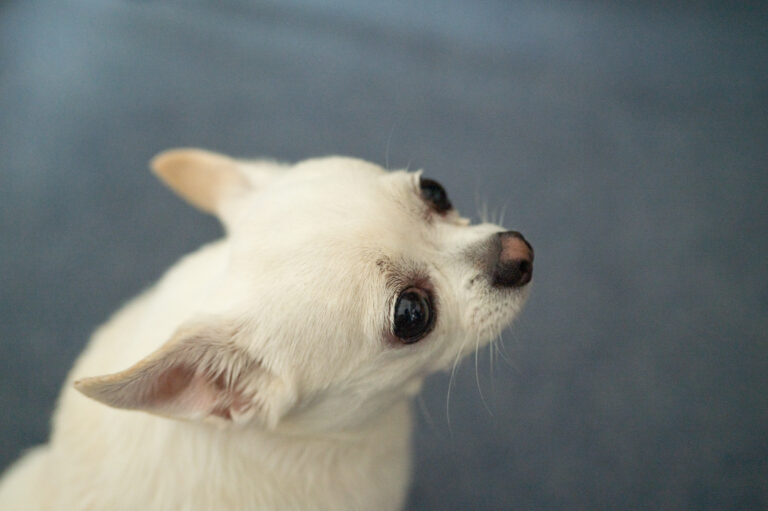 メールに関して