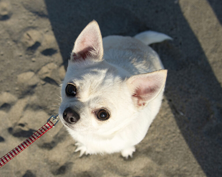 メールに関して（改善いたしました）